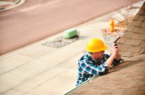 Best Roof Gutter Cleaning  in Agua Dulce, CA