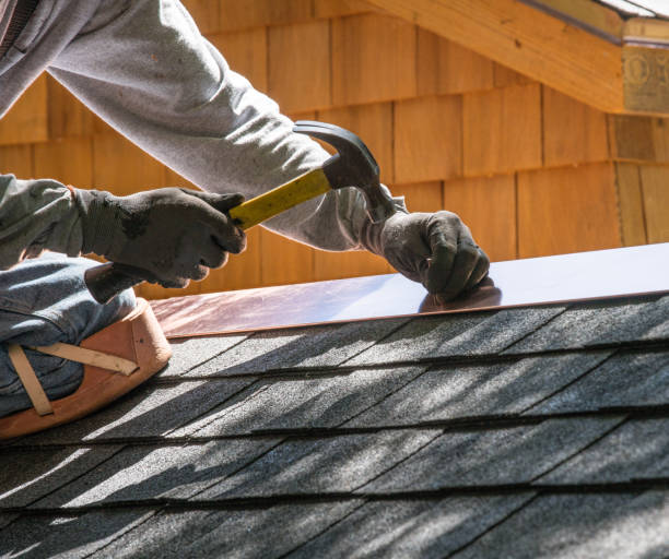 Best Roof Gutter Cleaning  in Agua Dulce, CA